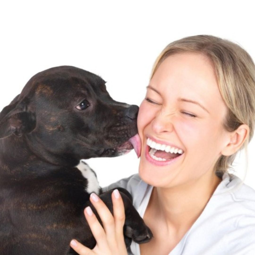 Warum Hunde lecken: Ursachen und Lösungen