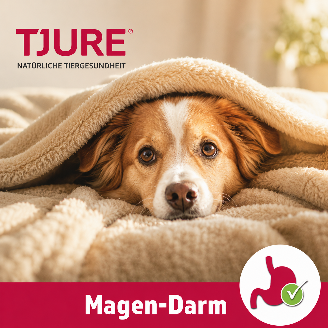 Sodbrennen, Durchfall, Verdauungsstörungen