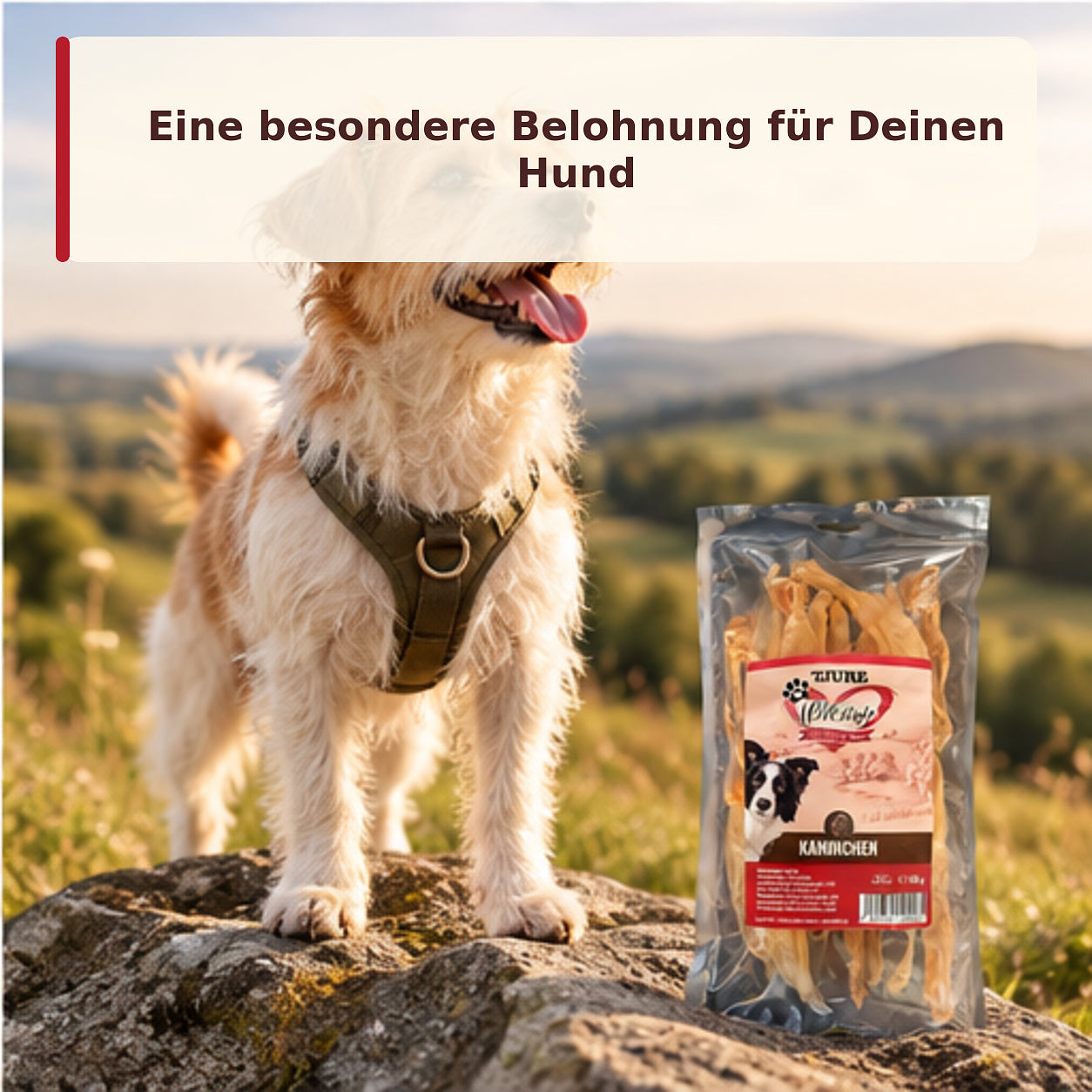 TJURE LOVESTYLE Cane - Orecchie di coniglio 100 g
