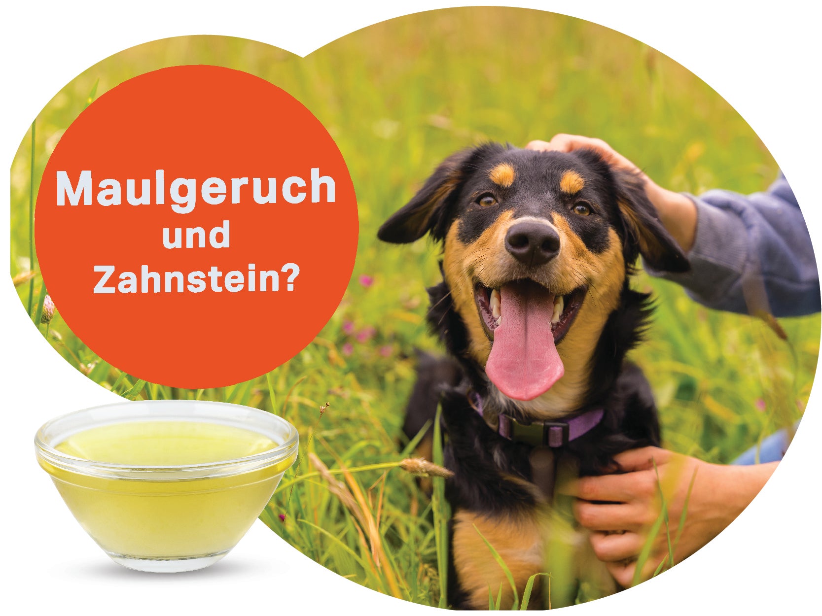 Medidog Dental Fresh & Clean 250 ml