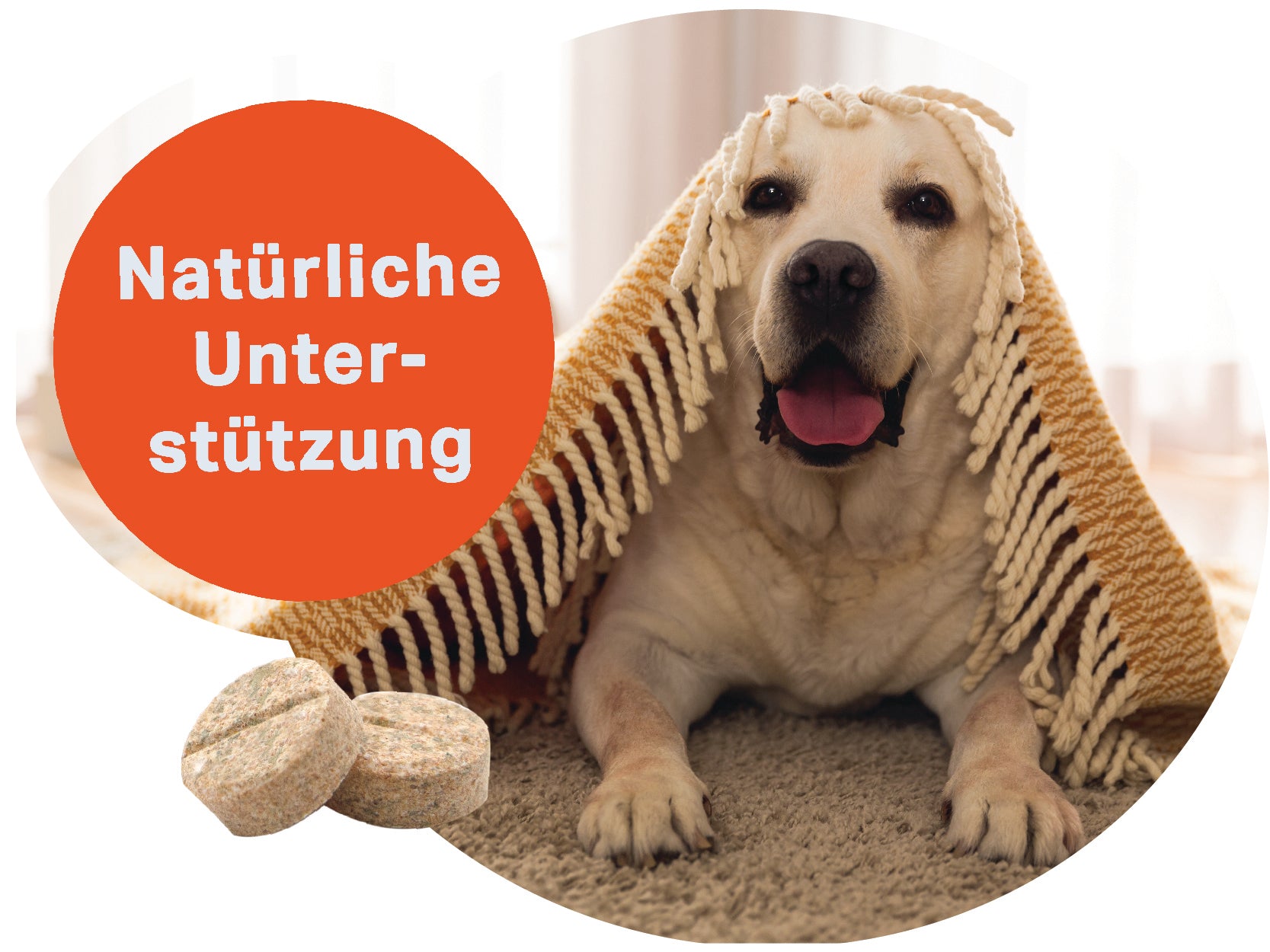 Compresse Medidog Multivitamin 120 g