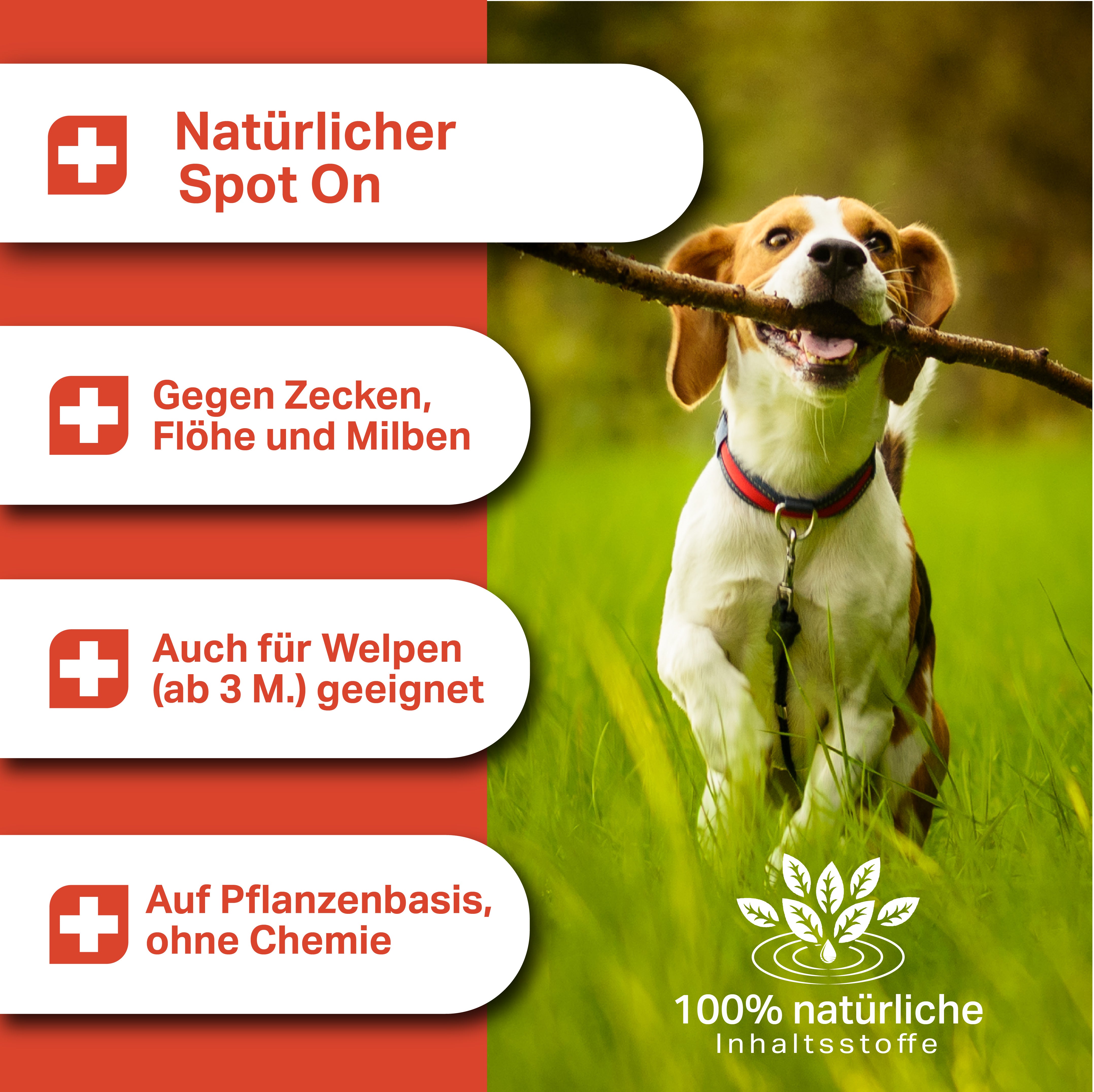 Medidog SPOT ON 50 ml
