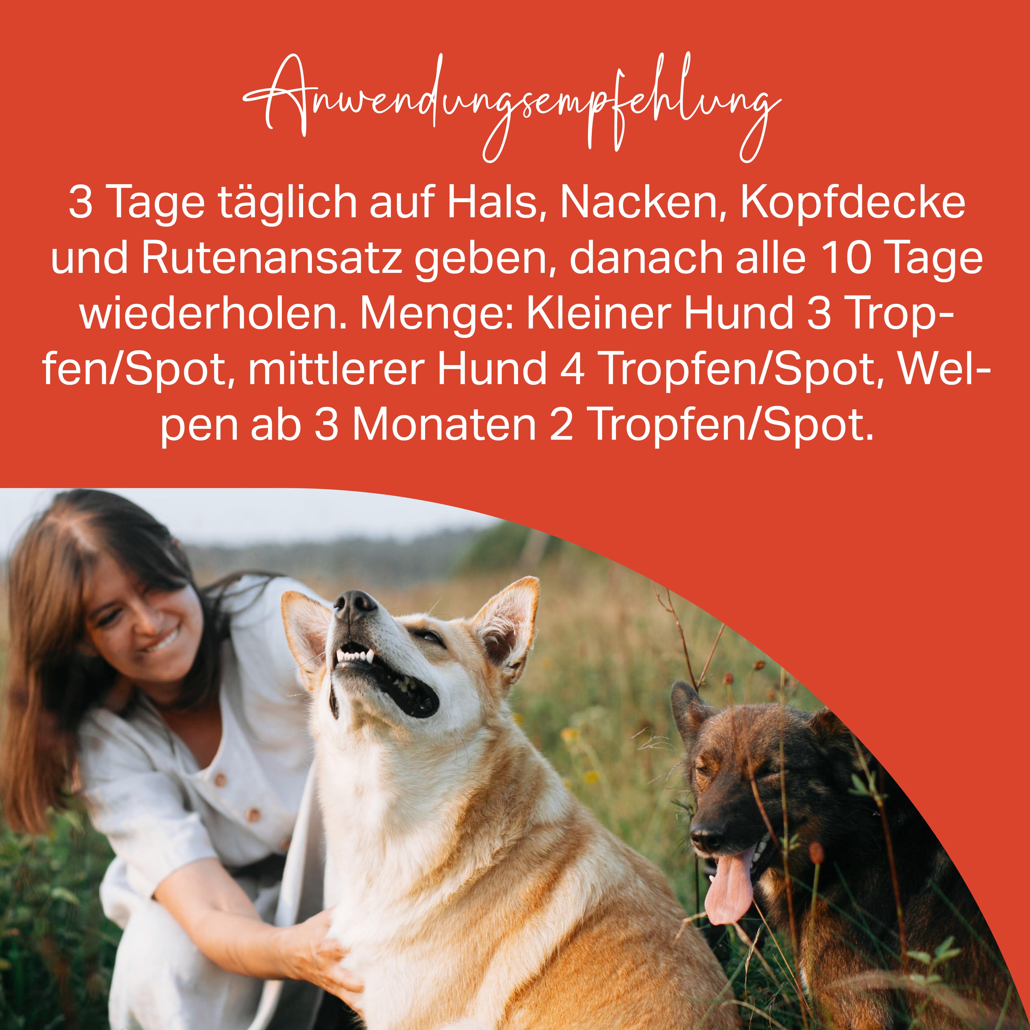Medidog SPOT ON 50 ml