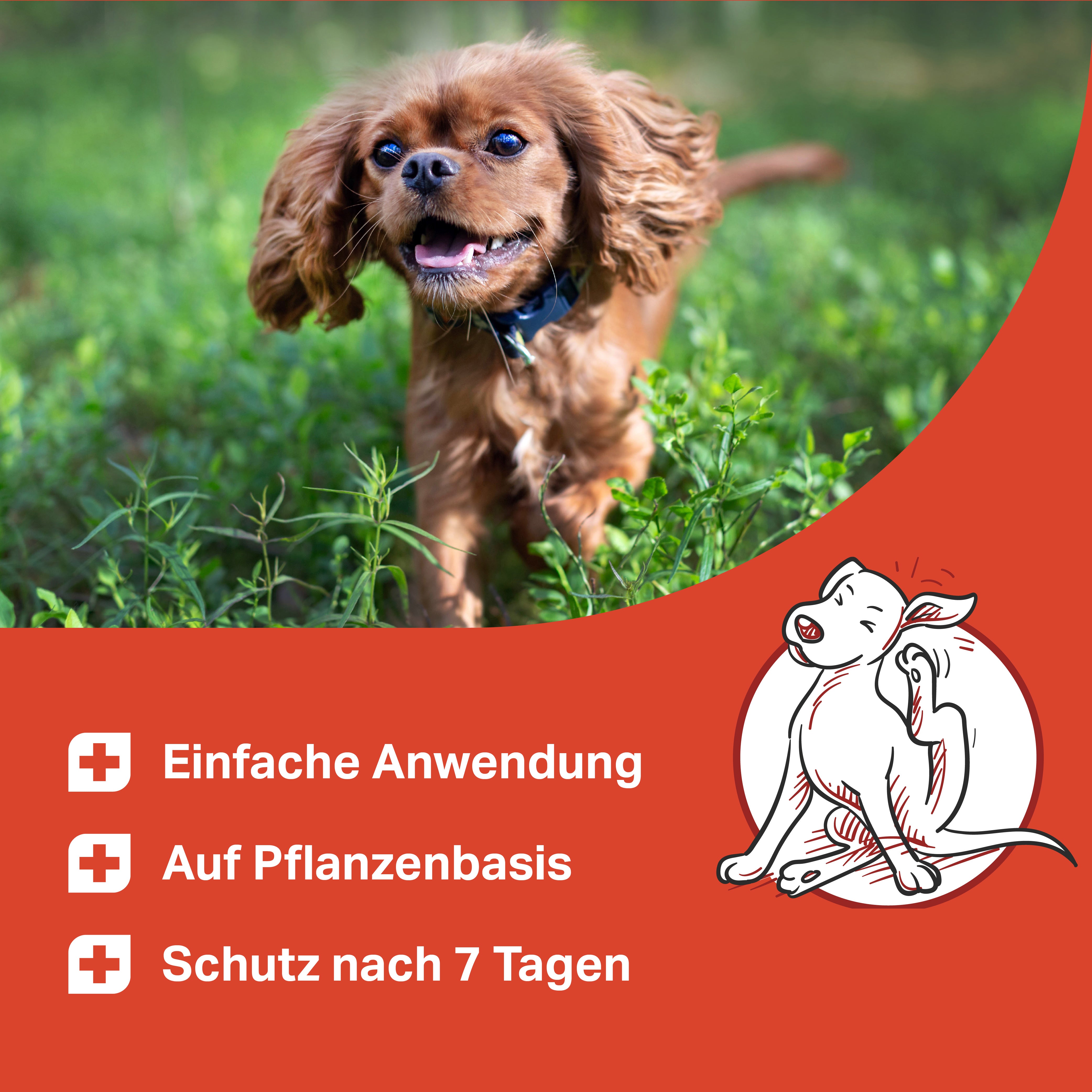 Medidog SPOT ON 50 ml