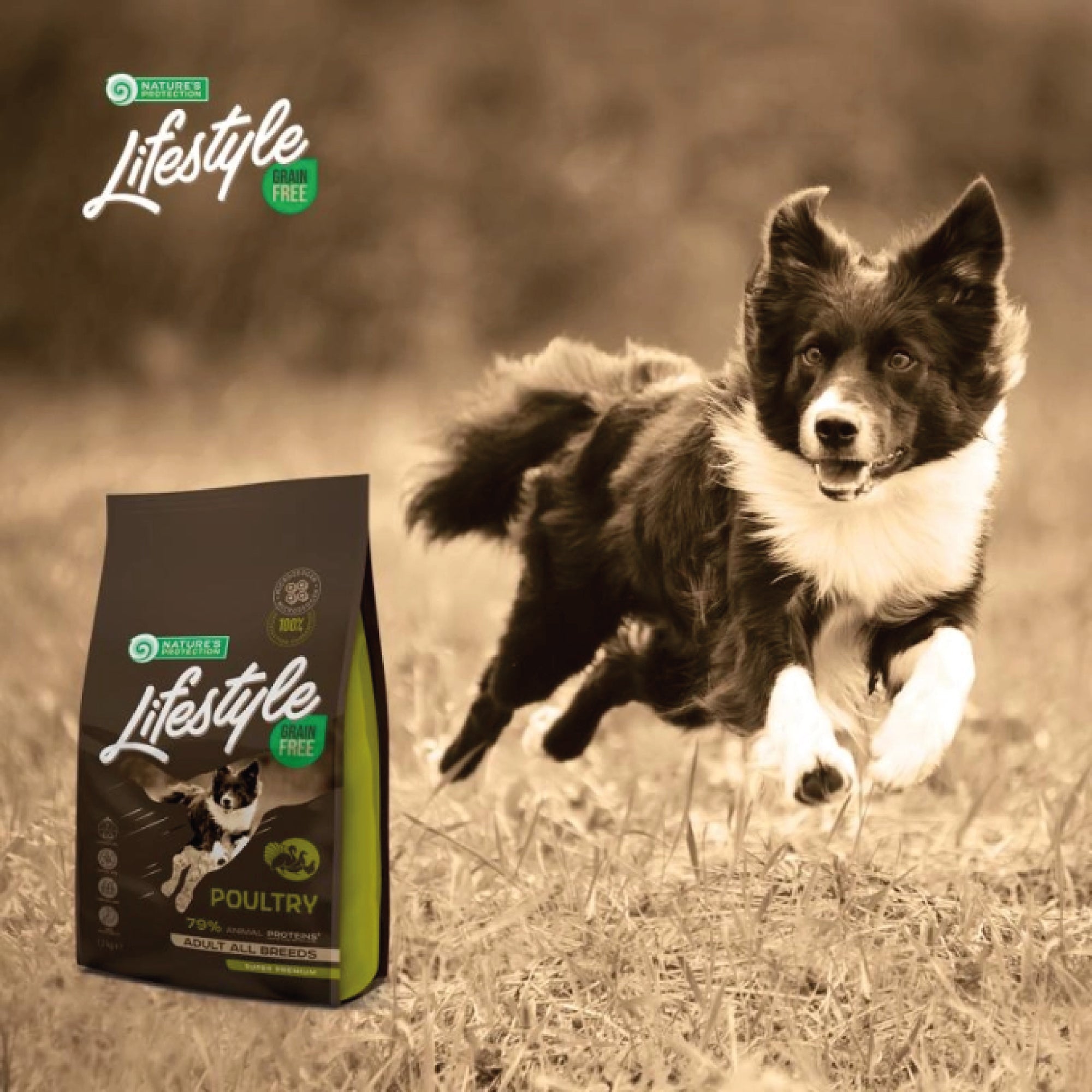 NP Lifestyle POLLO & PATATE cibo secco senza cereali per cani adulti di tutte le razze