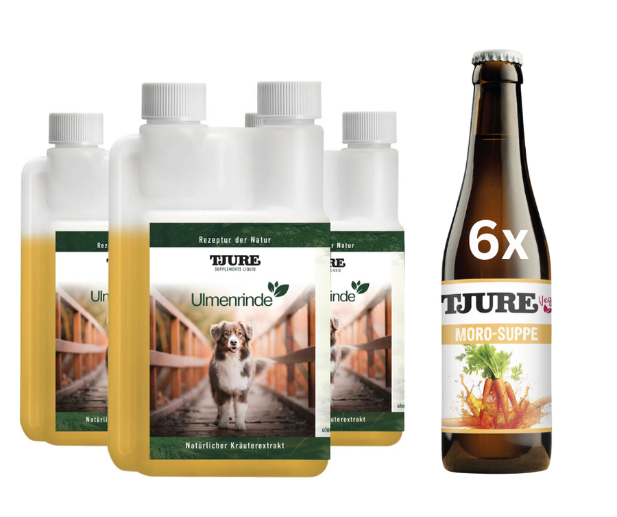TJURE - Set di Emergenza (TJURE Corteccia di Olmo 3x500 ml + 6 x Zuppa di Carote)