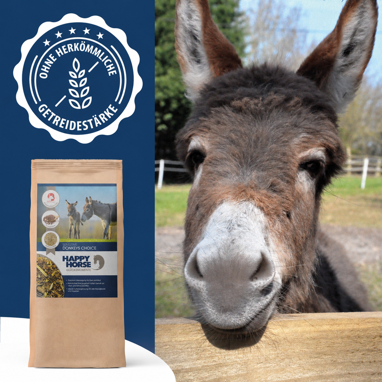 Sensitive Donkeys Choice per asini, muli e bardotti