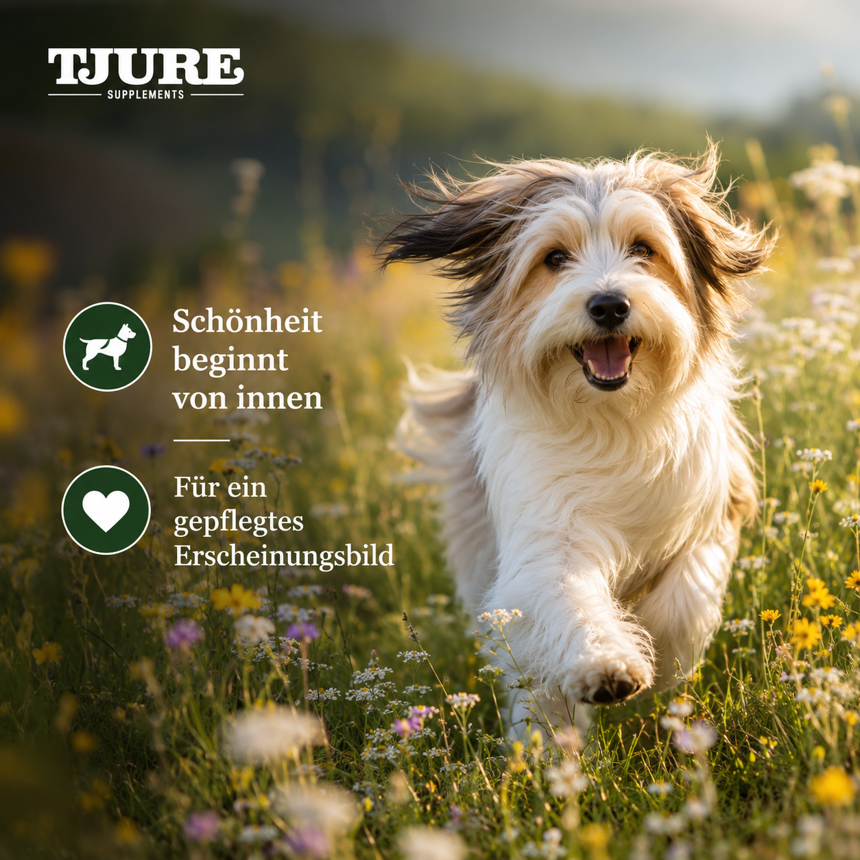 TJURE - Pelle Plus 500 g | per problemi di pelle e pelo | con acidi grassi Omega-3/Omega-6