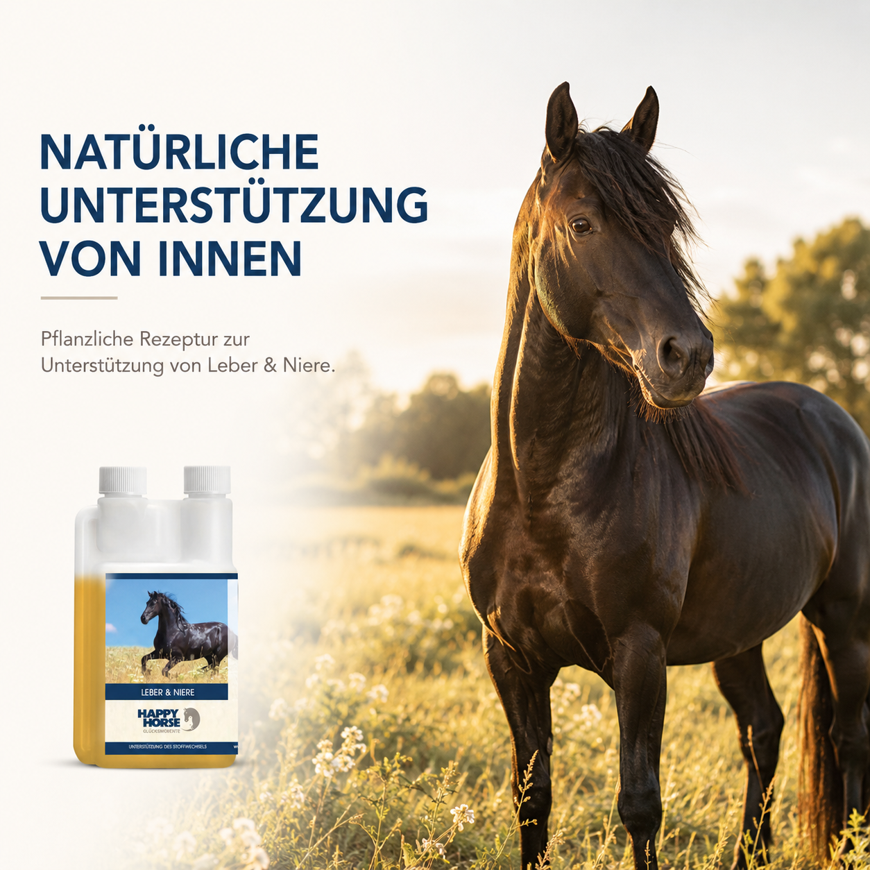 HAPPY HORSE Fegato e reni 1.000 ml