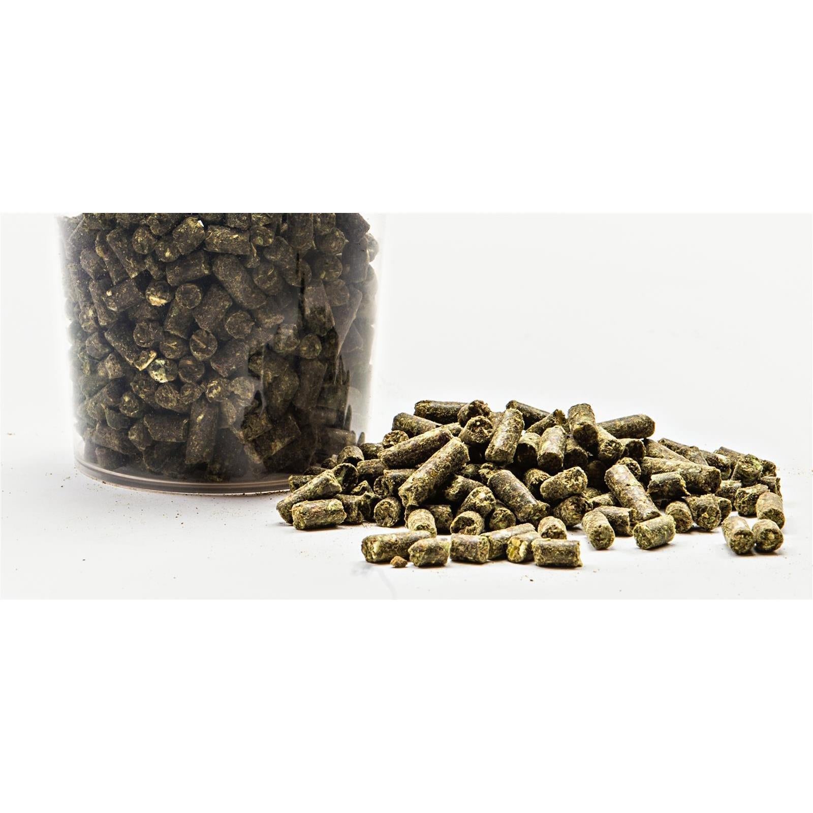 Happy Horse Costruzione zoccoli 5 kg