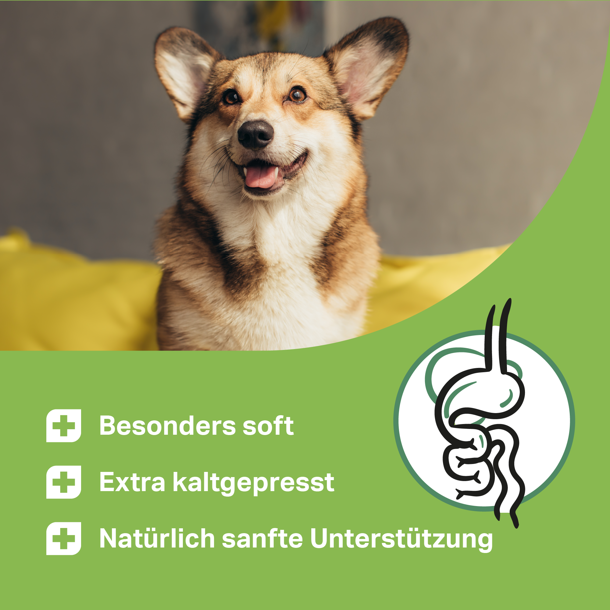 Medidog Gocce Attive per intestino 400 g