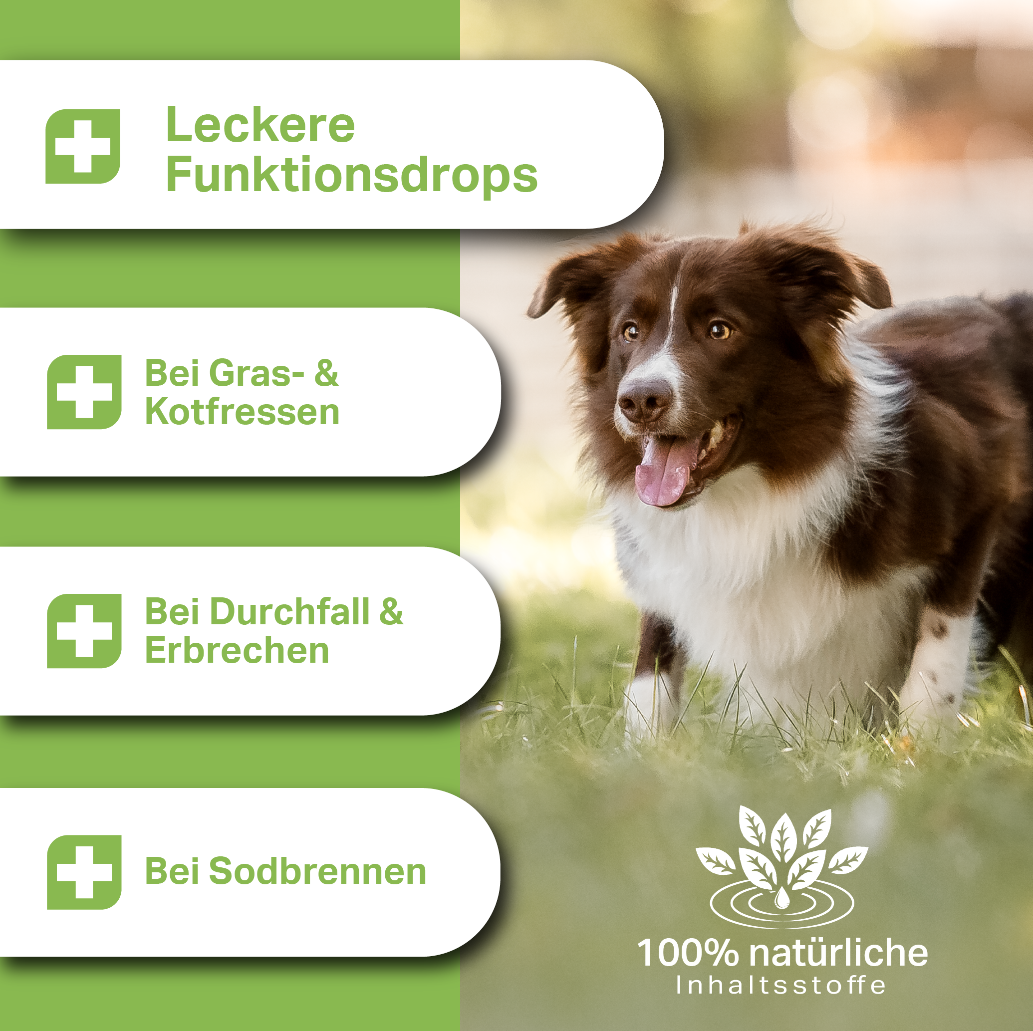 Medidog Gocce Attive per intestino 400 g