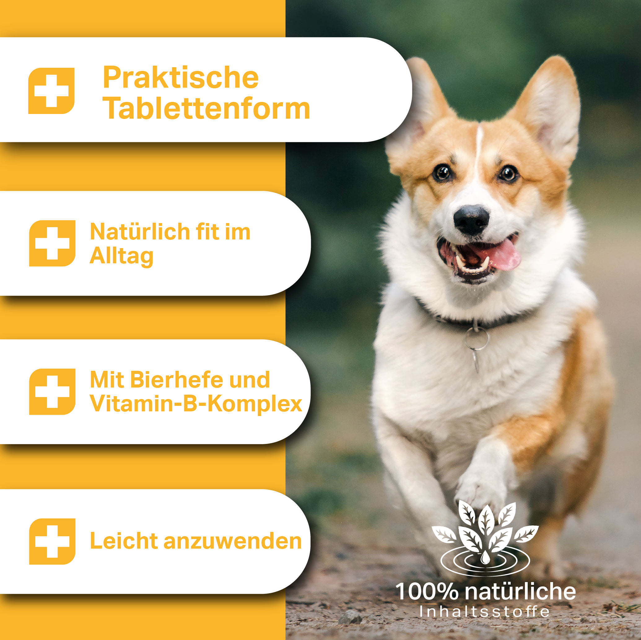 Compresse Medidog Multivitamin 120 g