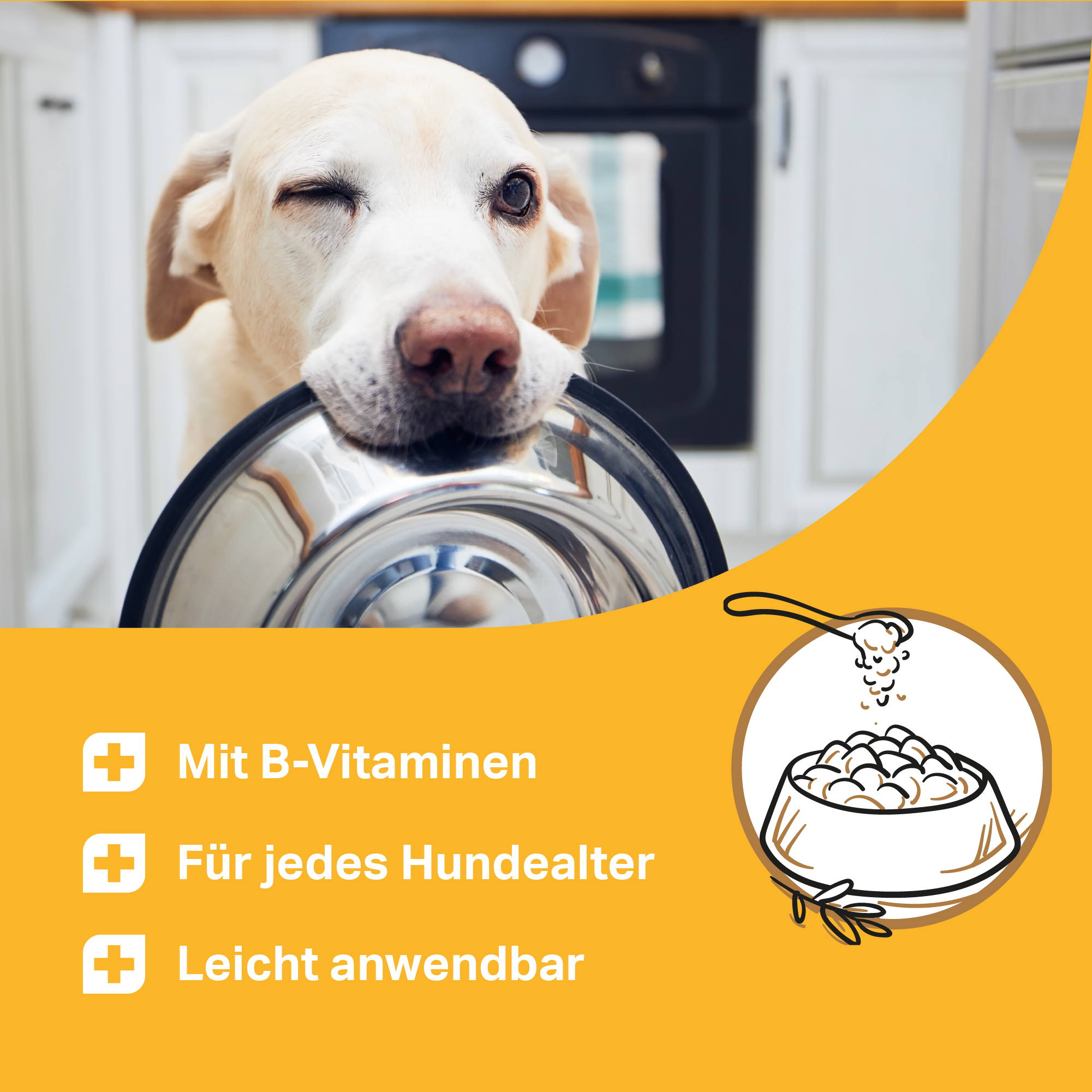 Compresse Medidog Multivitamin 120 g
