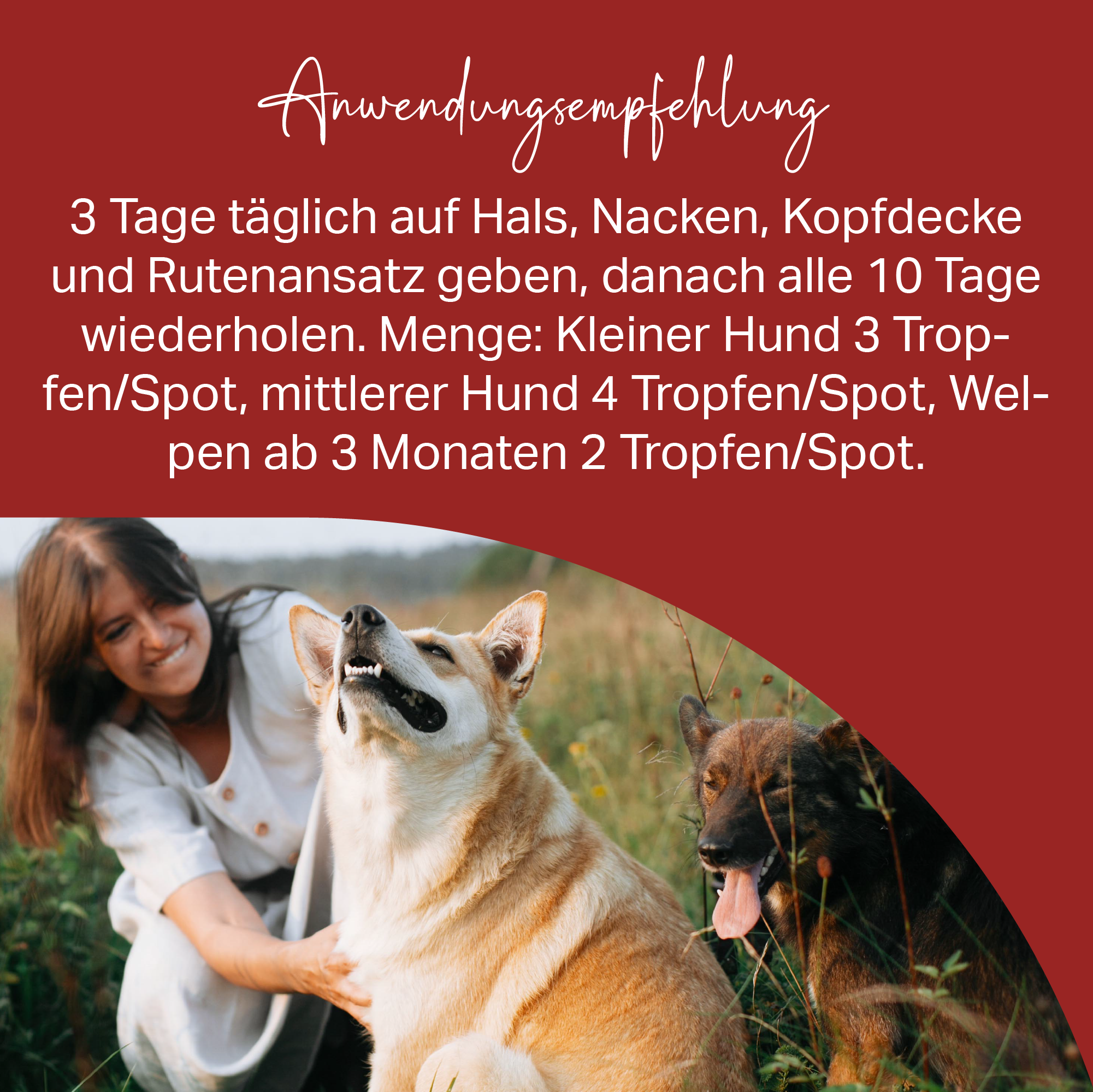 Medidog SPOT ON 50 ml