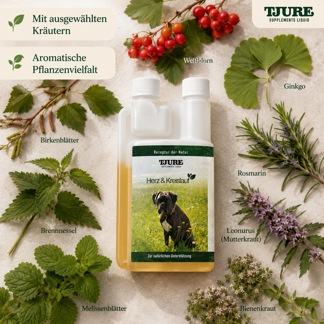 Set Forza Interiore - per vitalità, equilibrio e una lunga vita del cane