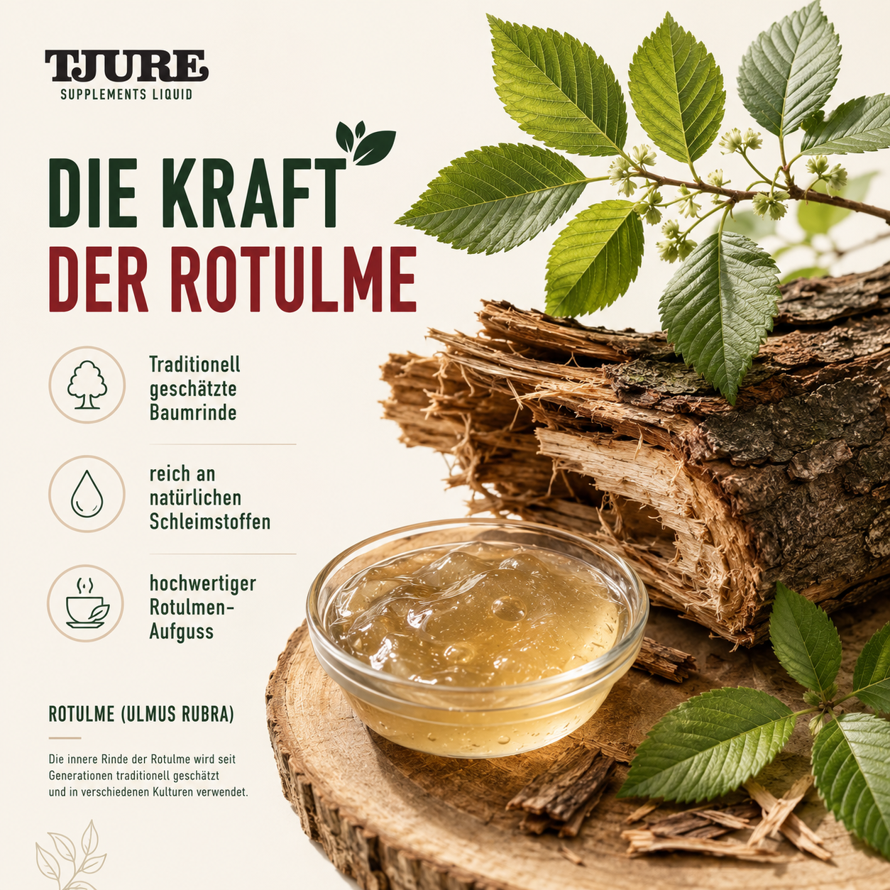 TJURE - Corteccia di Olmo Liquido 250 ml - 1000 ml | Forza naturale per un buon benessere intestinale